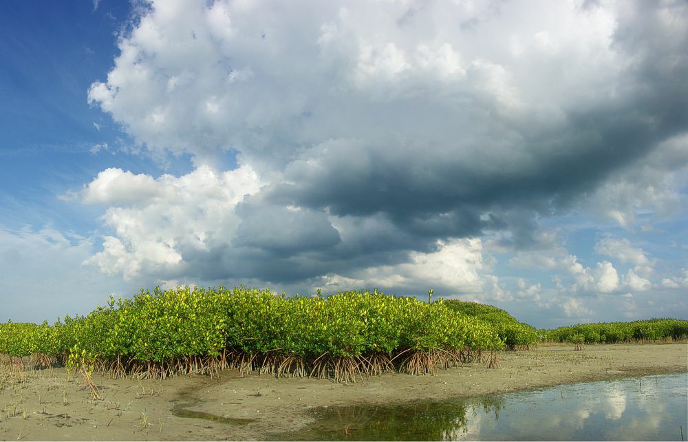 Click to See Next Image